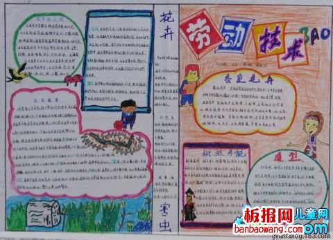 劳动技术手抄报