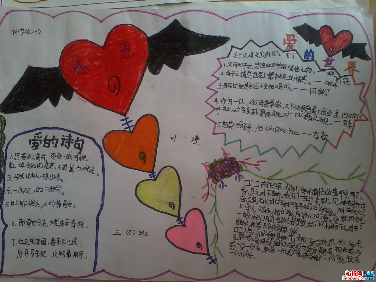 母爱的世界手抄报