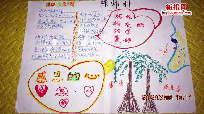 妈妈，送你一束康乃馨手抄报