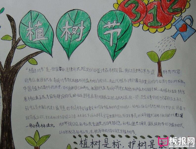 一年级爱绿护绿植树节手抄报