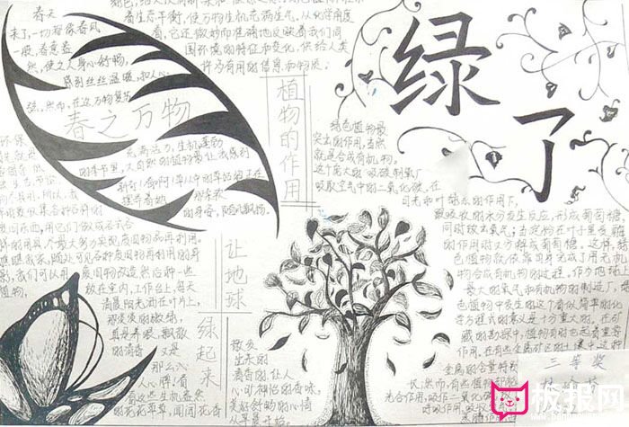庆祝植树节手抄报