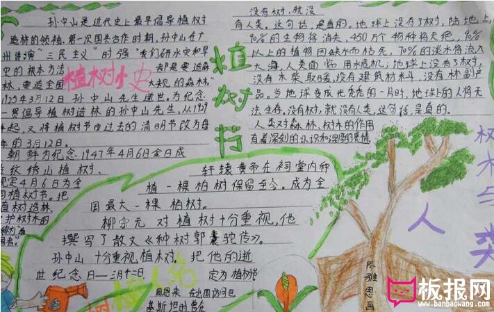 小学生植树节手抄报内容图片，植树节的来历
