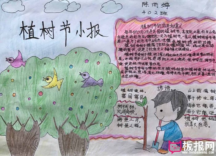 漂亮的植树节手抄报图片，植树节小报