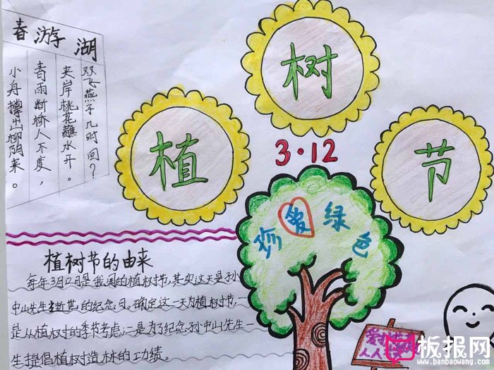 漂亮的植树节手抄报图片，珍爱绿色