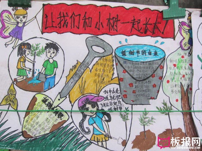 小学生植树节手抄报，和小树一起长大
