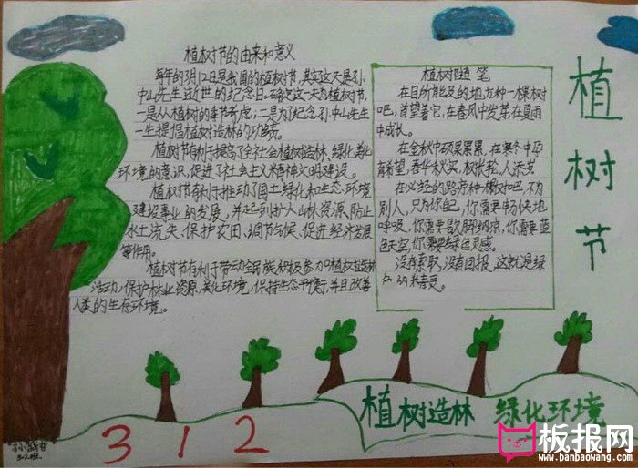 小学生植树节手抄报图片，植树造林绿化环境