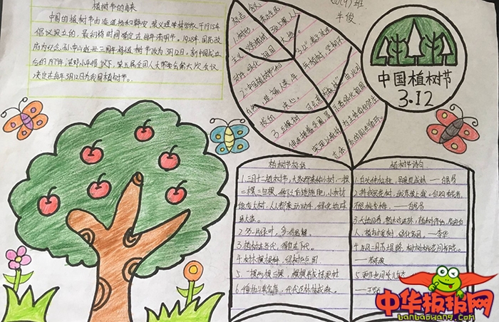 小学生植树节手抄报图片，植树造林关爱环境