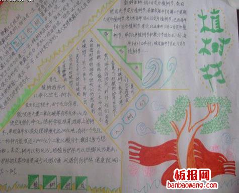 简约植树节手抄报