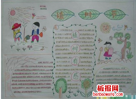 四年级植树节手抄报