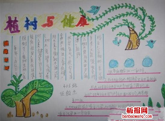 植树与健康植树节手抄报