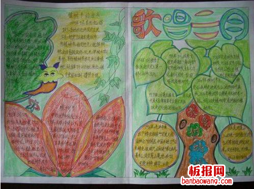 小学生植树节手抄报