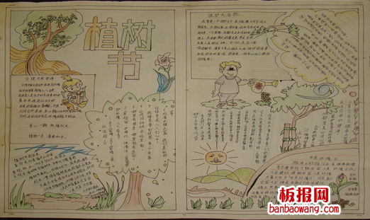 植树节手抄报：树木与向导