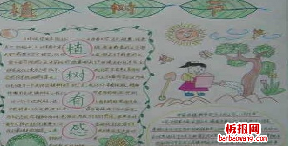 植树节手抄报：树木与民俗文化
