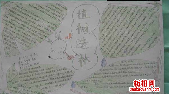 植树节手抄报：树木与产品文化