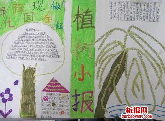 植树节手抄报