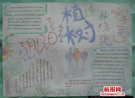 二年级小学生3月12日植树造林植树节手抄报