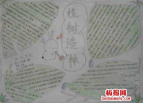 三年级植树造林小学生植树节手抄报