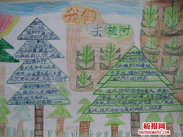我们去植树植树节手抄报