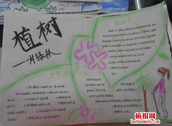 植树的生态价值手抄报