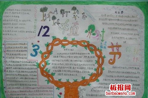 3.12植树节手抄报