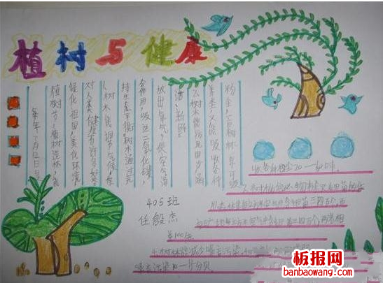 植树与健康植树节手抄报