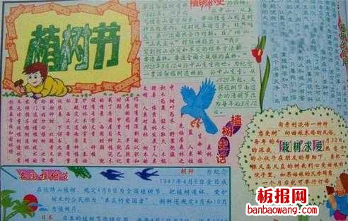 四年级小学生植树节手抄报