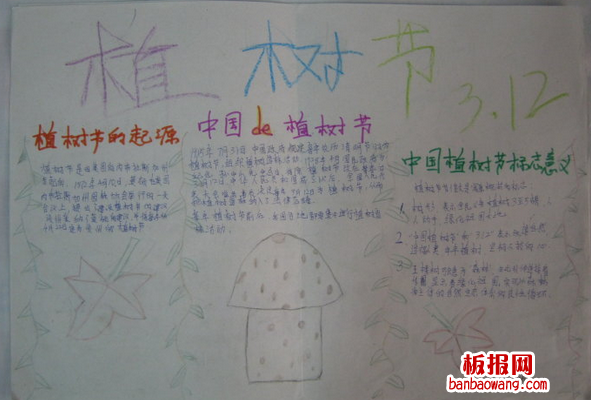 2014植树节手抄报图片