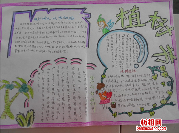2014年植树造林手抄报