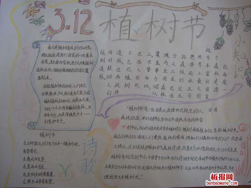 3.12植树手抄报