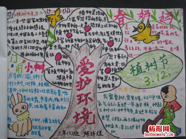 植树护林手抄报