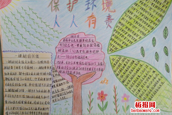 树的价值植树节手抄报