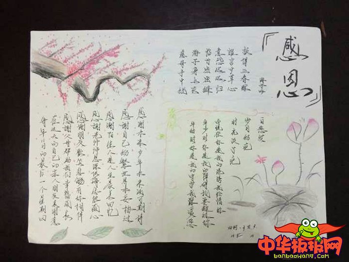 小学生感恩节手抄报简单，感恩成长