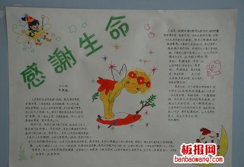 感谢生命的手抄报图片