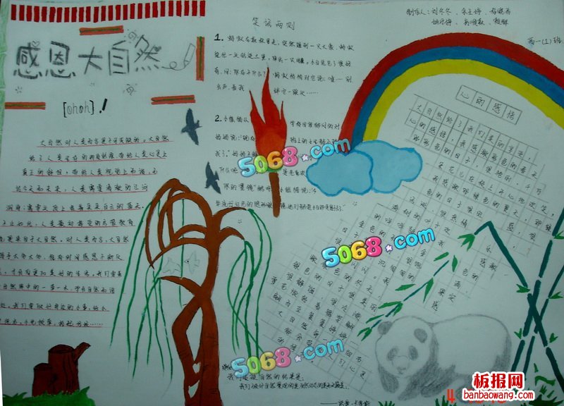 感恩节手抄报图片