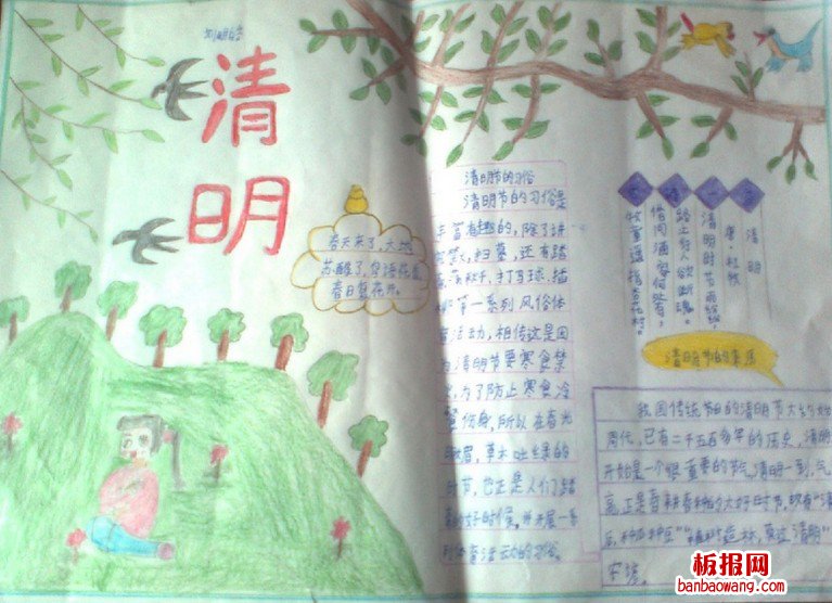 三年级清明手抄报