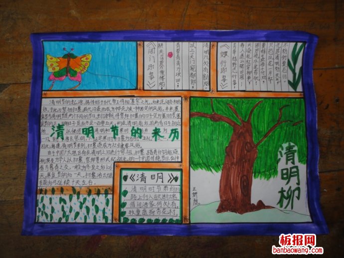 清明节插柳手抄报