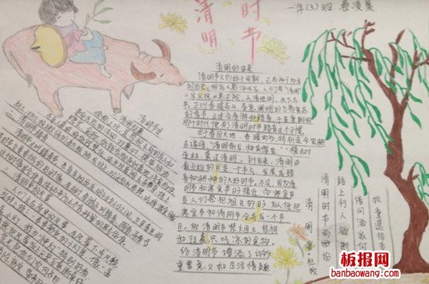 中学生清明手抄报