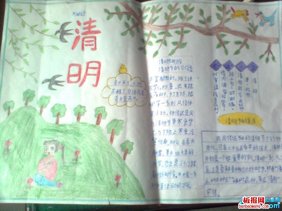最新绿色清明手抄报