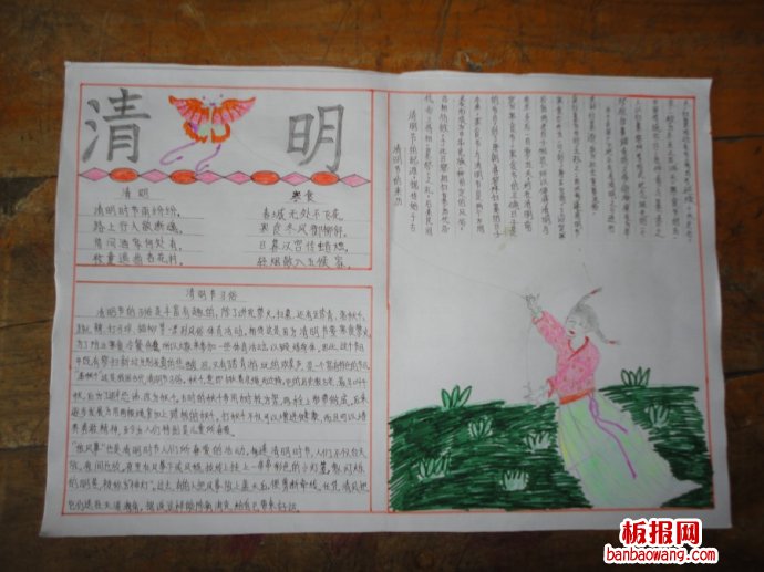 清明时节清明柳手抄报