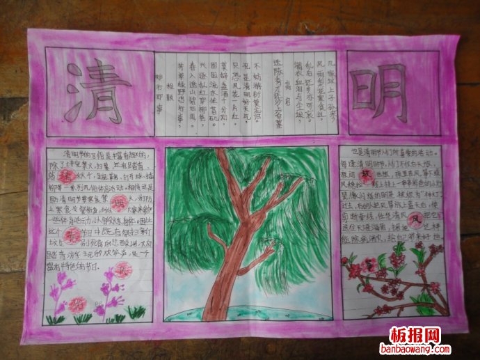 清明时节清明雨手抄报