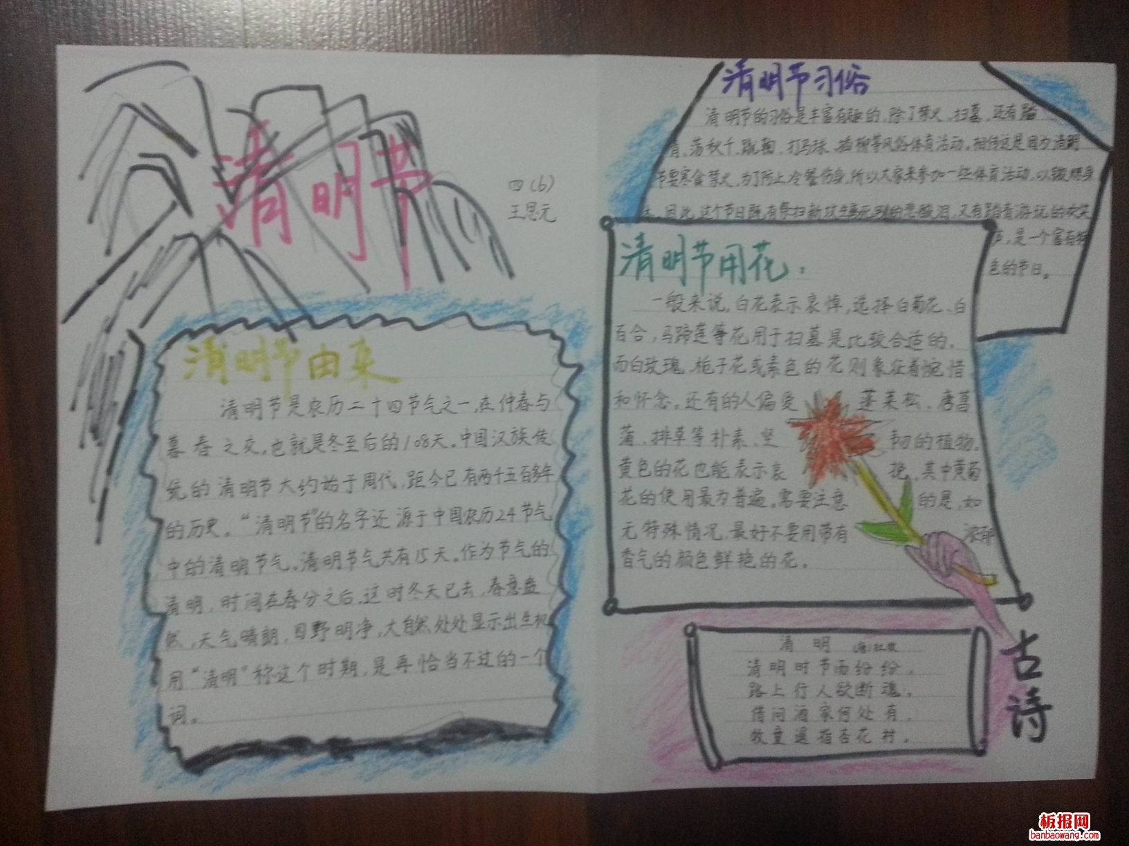 清明节习俗 清明节用花手抄报