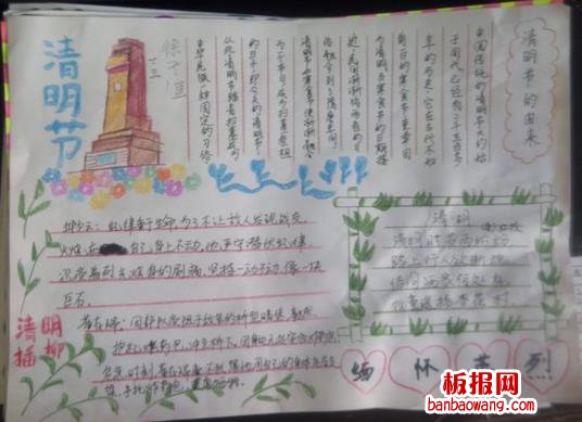 清明插柳手抄报