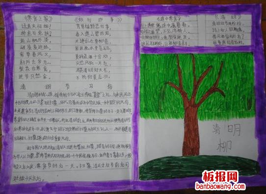 清明值柳清明节手抄报
