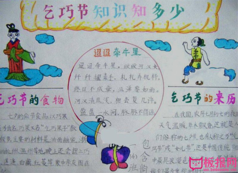 七夕节手抄报，牵牛星