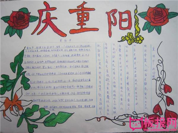 重阳节手抄报图片大全，秋光正好庆重阳（五张）