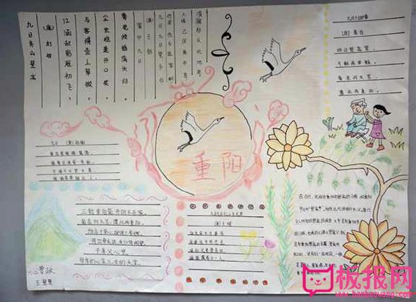 重阳节手抄报图片大全，秋光正好庆重阳（五张）