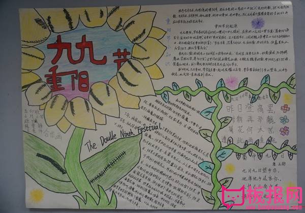 重阳节手抄报图片大全，秋光正好庆重阳（五张）