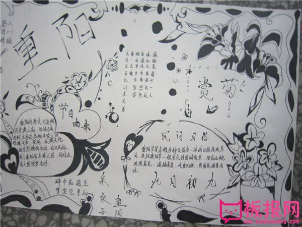 九九重阳节手抄报，赏菊饮酒庆重阳