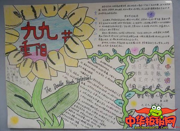 三年级重阳节手抄报图片大全，关爱老人从我做起
