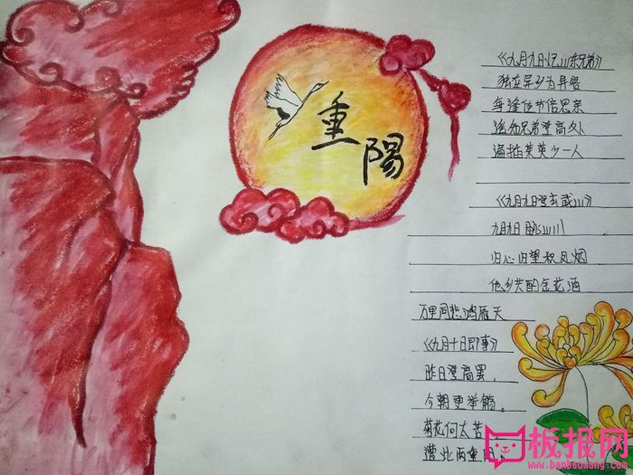 重阳节手抄报图片大全，爱在重阳